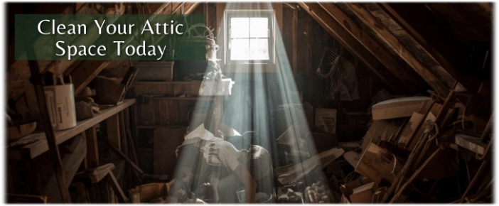 Attic Cleaning Arlington TX